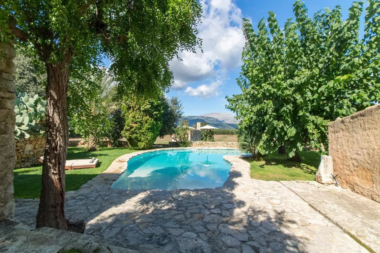 Buger - 21834 Mallorca Spain